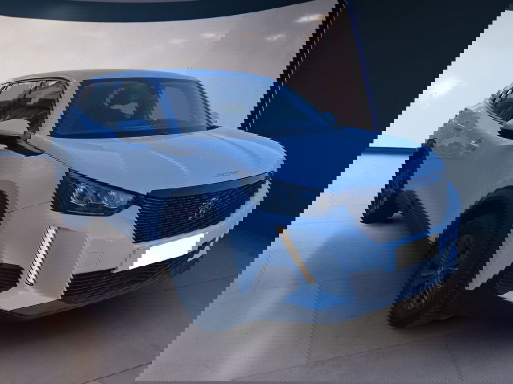 Peugeot 2008 usata a Torino (3)