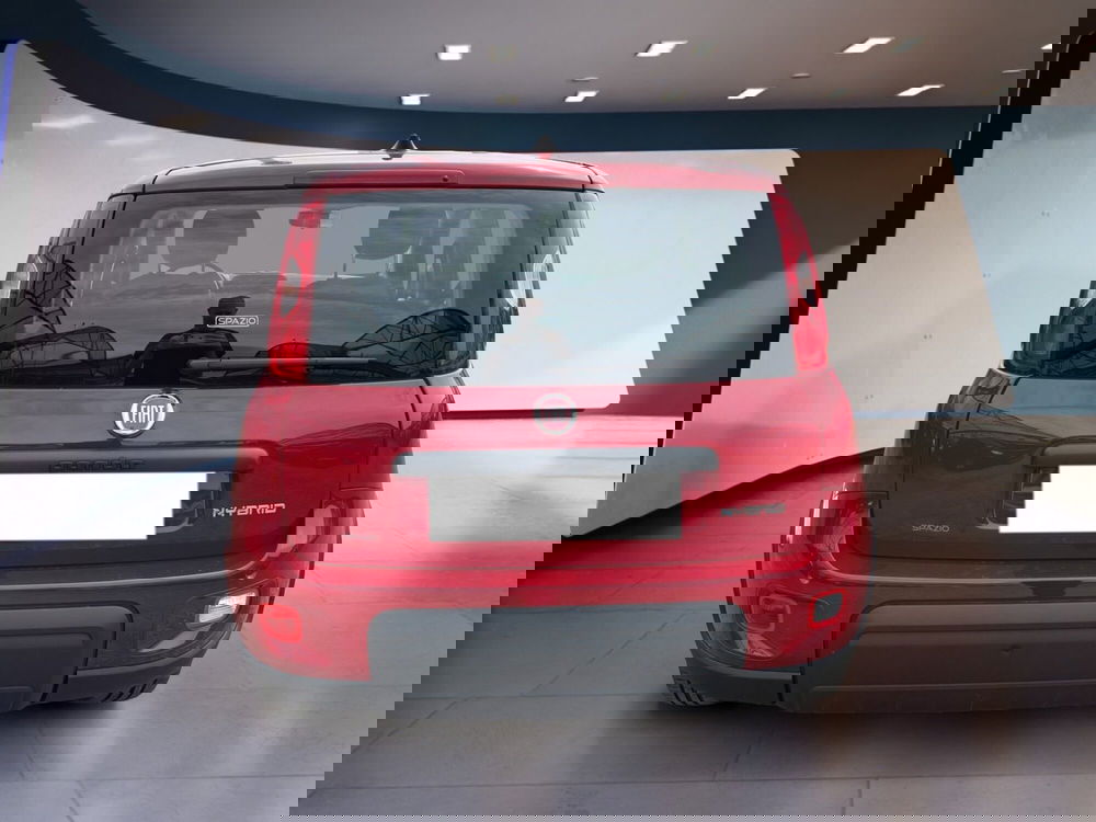 Fiat Panda usata a Torino (6)