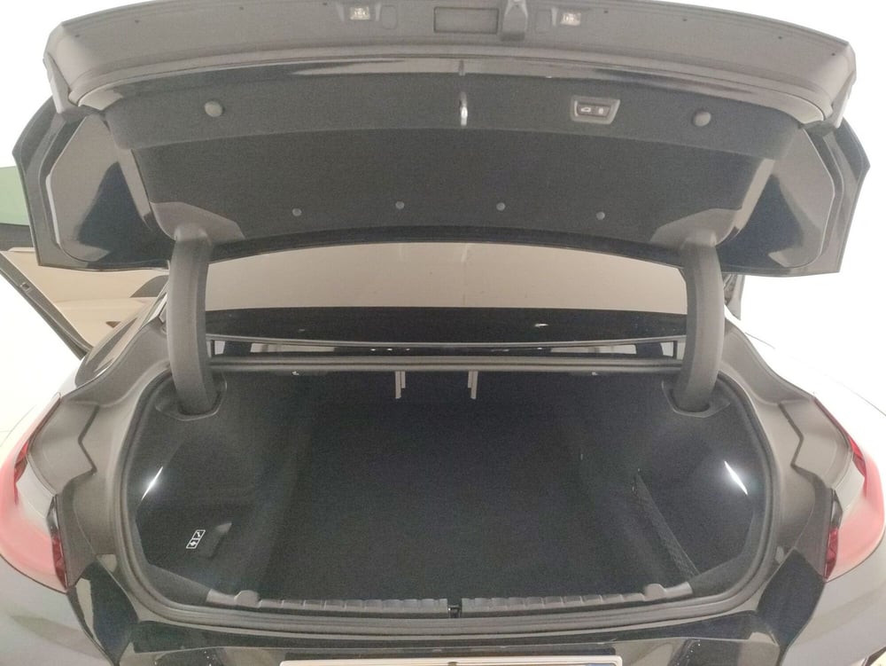 BMW Serie 8 Gran Coupé usata a Alessandria (11)