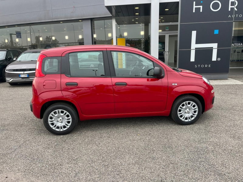 Fiat Panda Cross nuova a Milano (4)