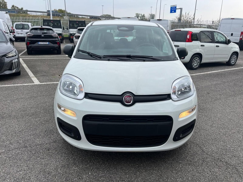 Fiat Panda Cross nuova a Milano (2)
