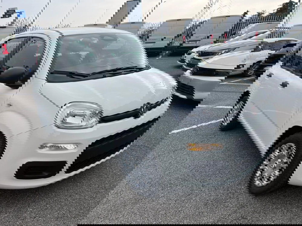 Fiat Panda Cross nuova a Milano (3)
