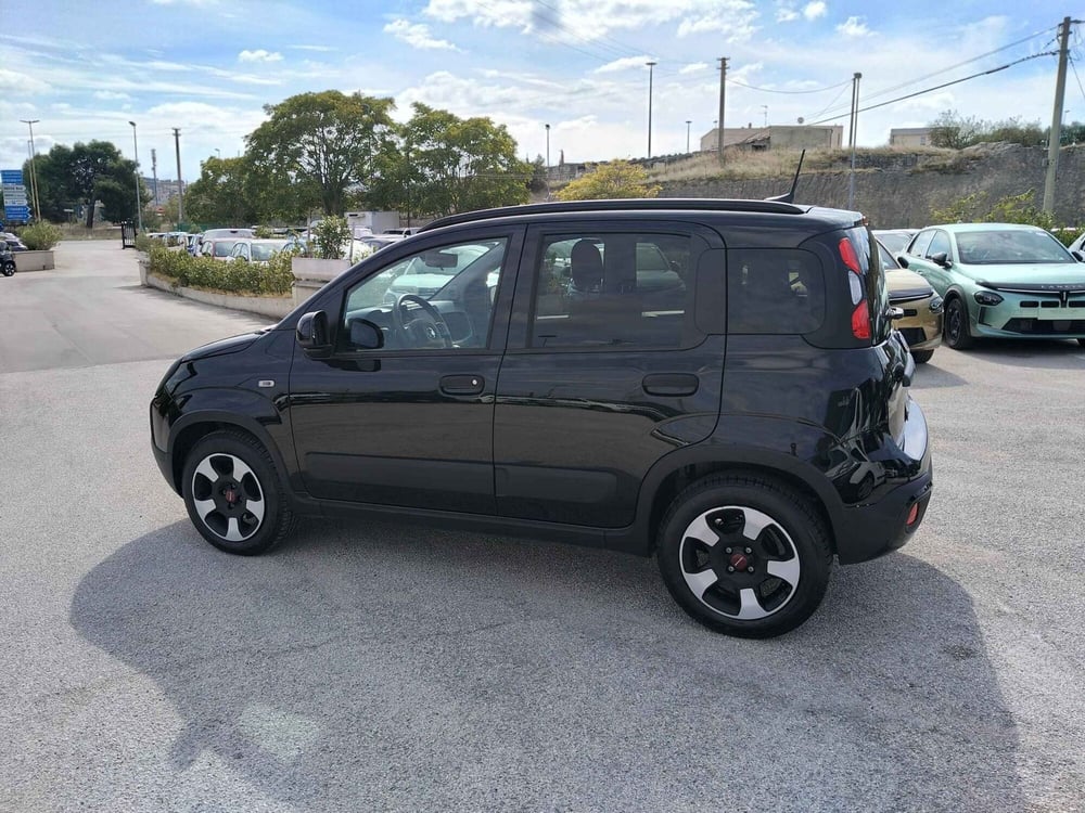Fiat Panda Cross usata a Matera (11)