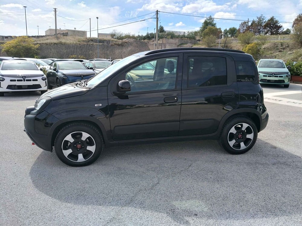 Fiat Panda Cross usata a Matera (12)