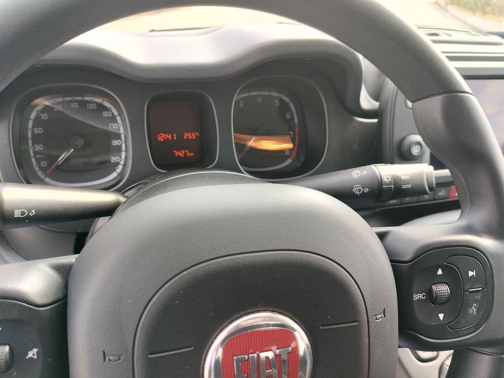 Fiat Panda Cross usata a Matera (16)