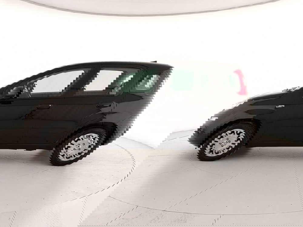 Fiat Panda nuova a Caserta (8)