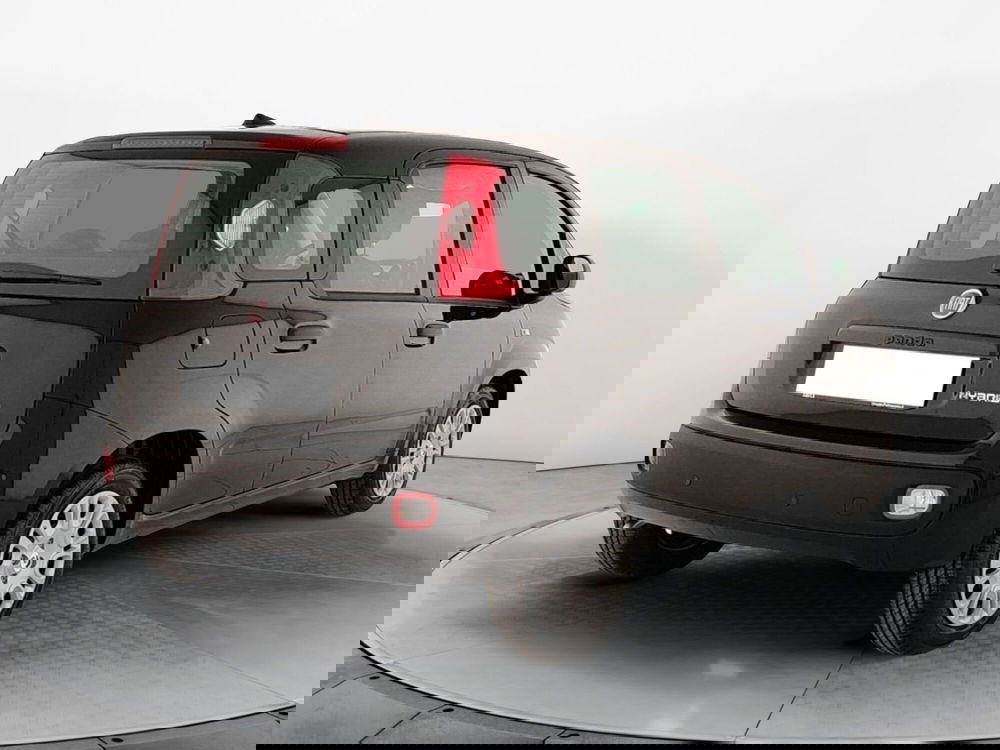 Fiat Panda nuova a Caserta (6)