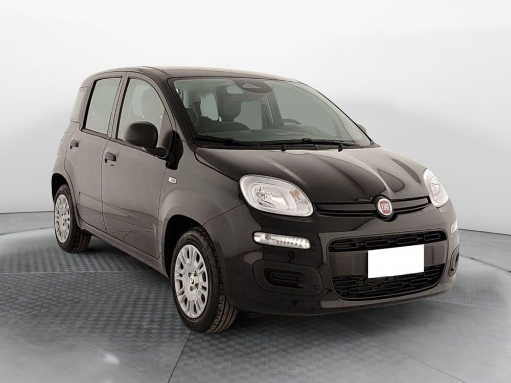 Fiat Panda nuova a Caserta