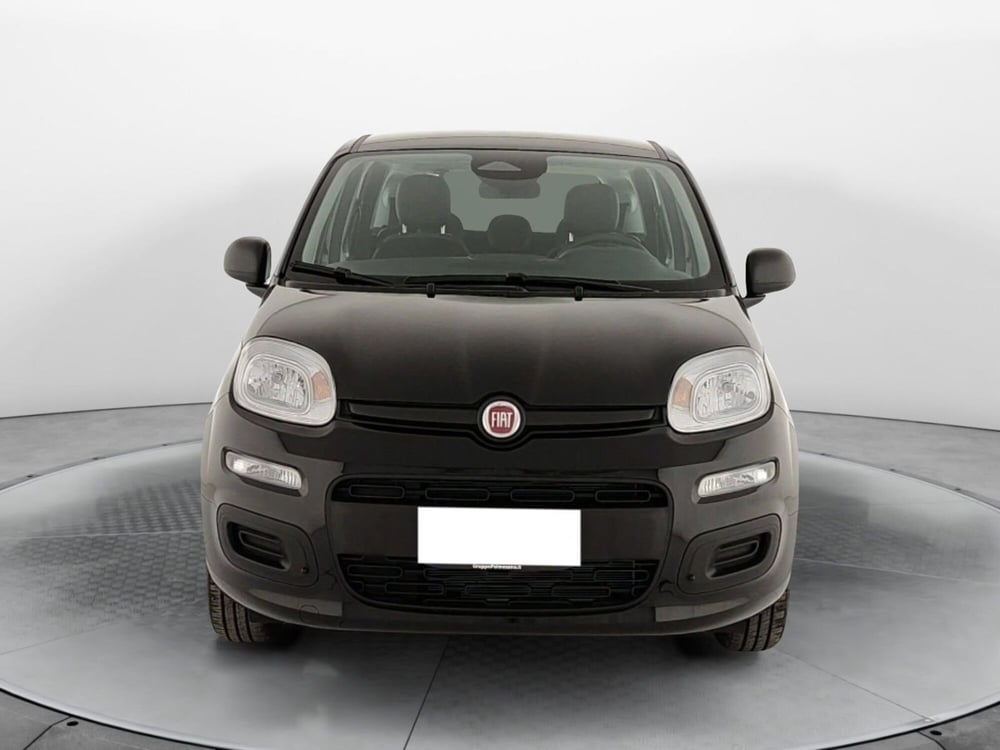 Fiat Panda nuova a Caserta (2)