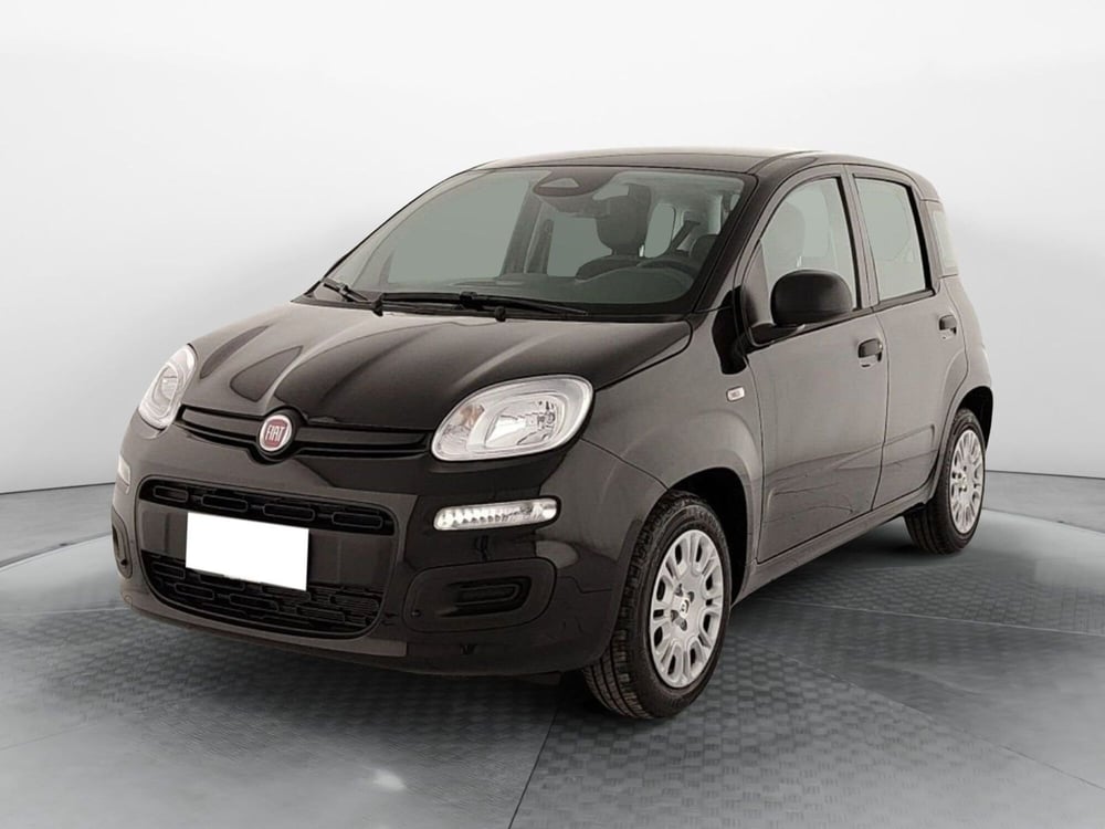 Fiat Panda nuova a Caserta (3)