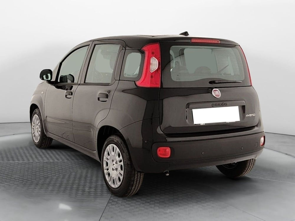 Fiat Panda nuova a Caserta (4)
