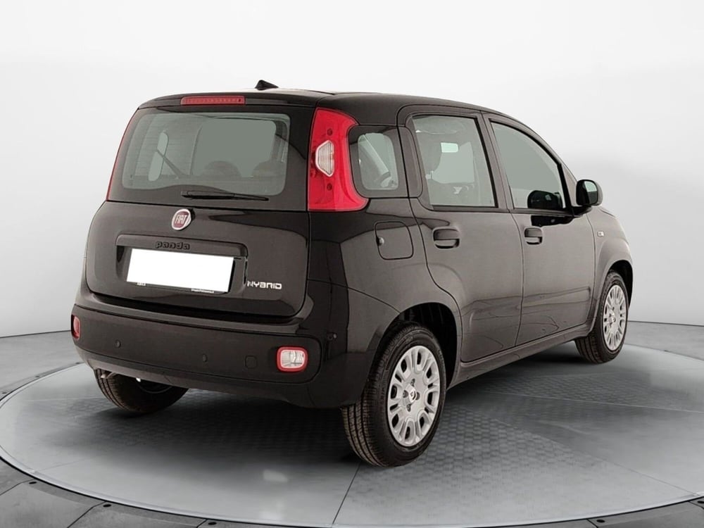 Fiat Panda nuova a Caserta (6)