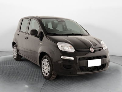 Fiat Panda Cross Cross 1.0 FireFly S&amp;S Hybrid nuova a Napoli