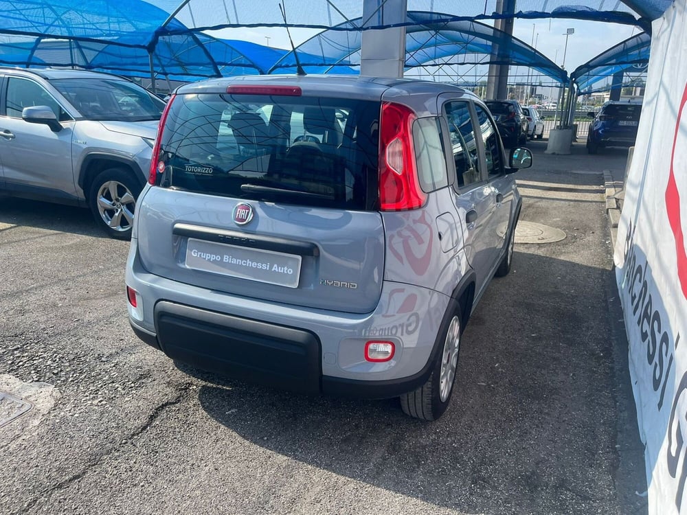 Fiat Panda Cross usata a Cremona (13)