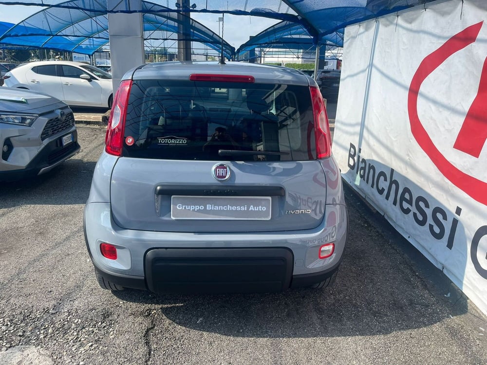 Fiat Panda Cross usata a Cremona (14)
