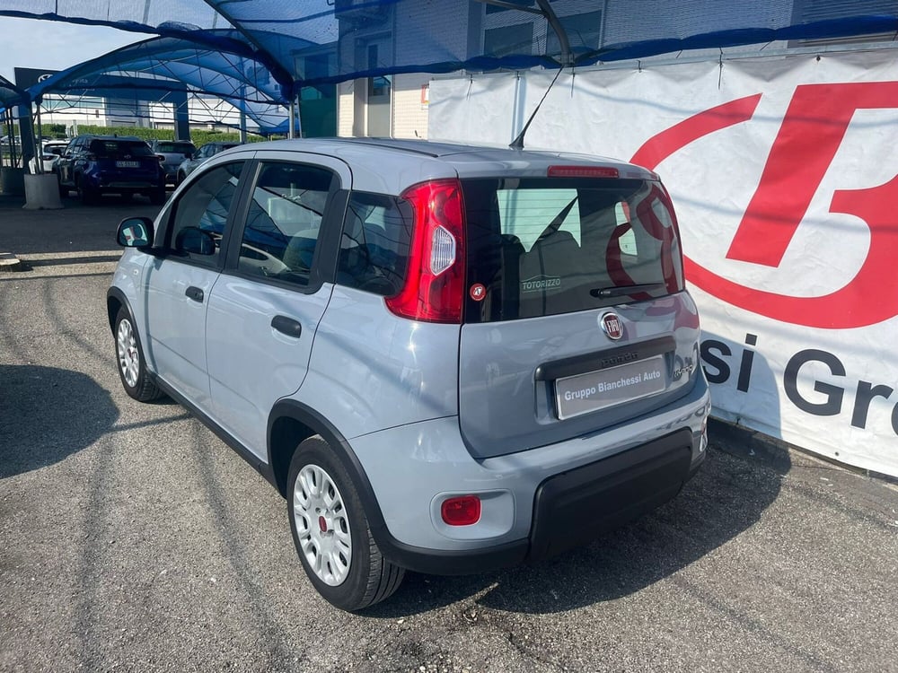 Fiat Panda Cross usata a Cremona (3)