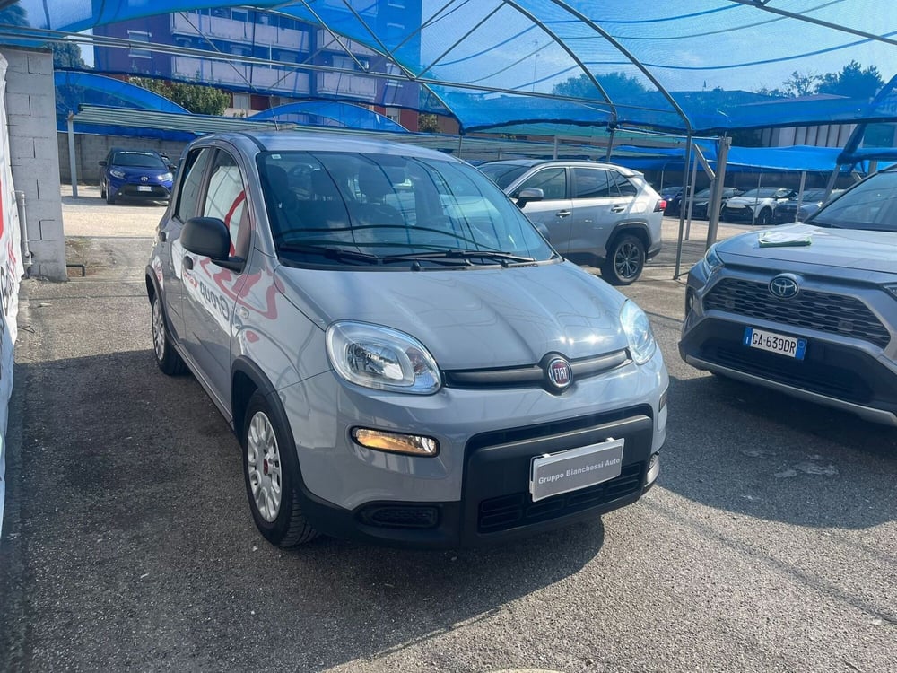 Fiat Panda Cross usata a Cremona (5)
