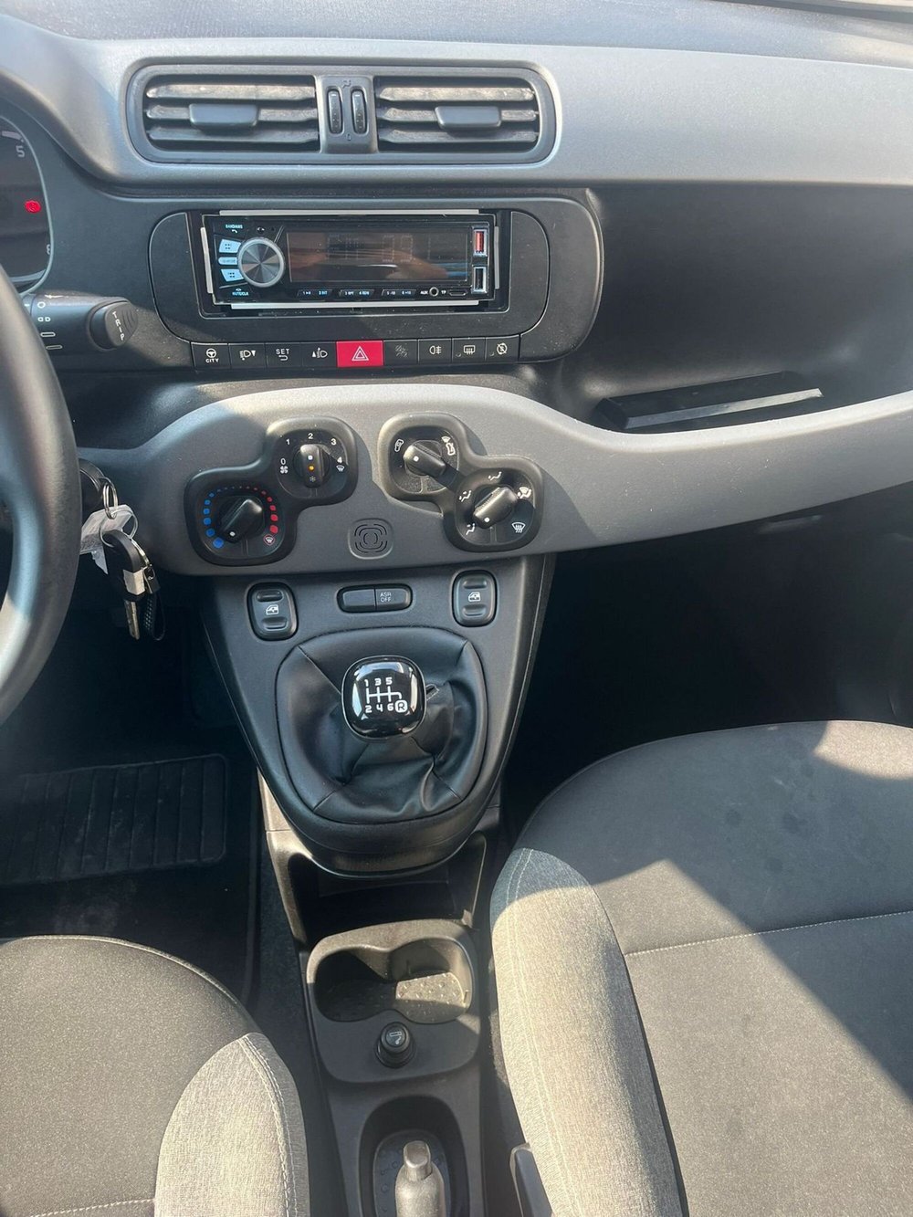 Fiat Panda Cross usata a Cremona (7)