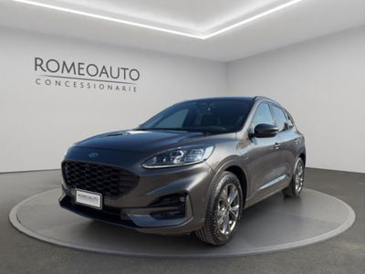 Ford Kuga 2.5 Plug In Hybrid 225 CV CVT 2WD ST-Line del 2021 usata a Gubbio