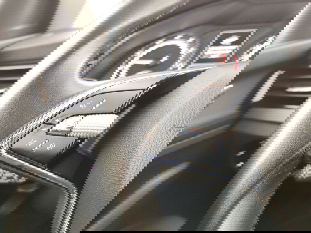 Skoda Kamiq usata a Massa-Carrara (14)