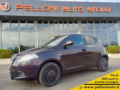 Lancia Ypsilon 1.2 69 CV 5 porte GPL Ecochic Elefantino del 2013 usata a Modena
