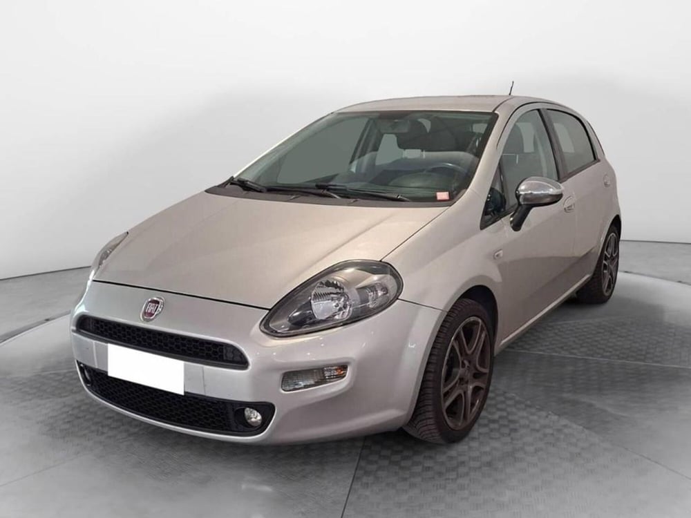 Fiat Punto usata a Torino