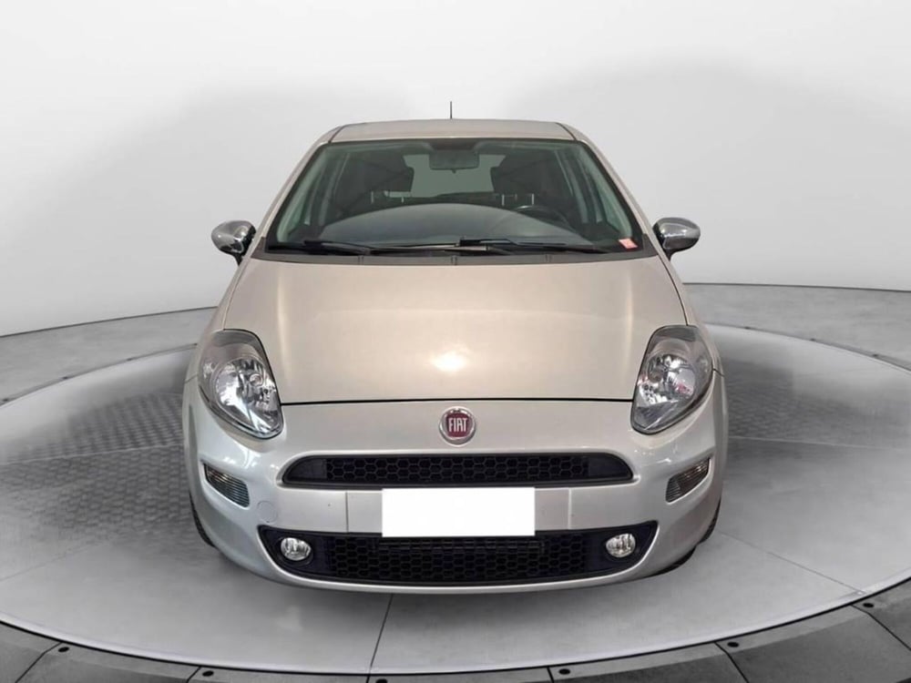 Fiat Punto usata a Torino (2)