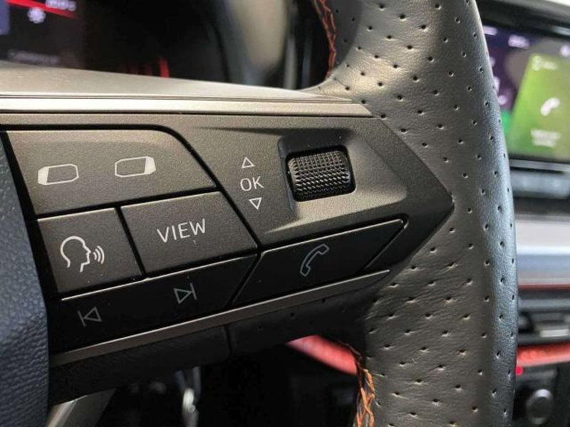 SEAT Ibiza usata a Matera (9)