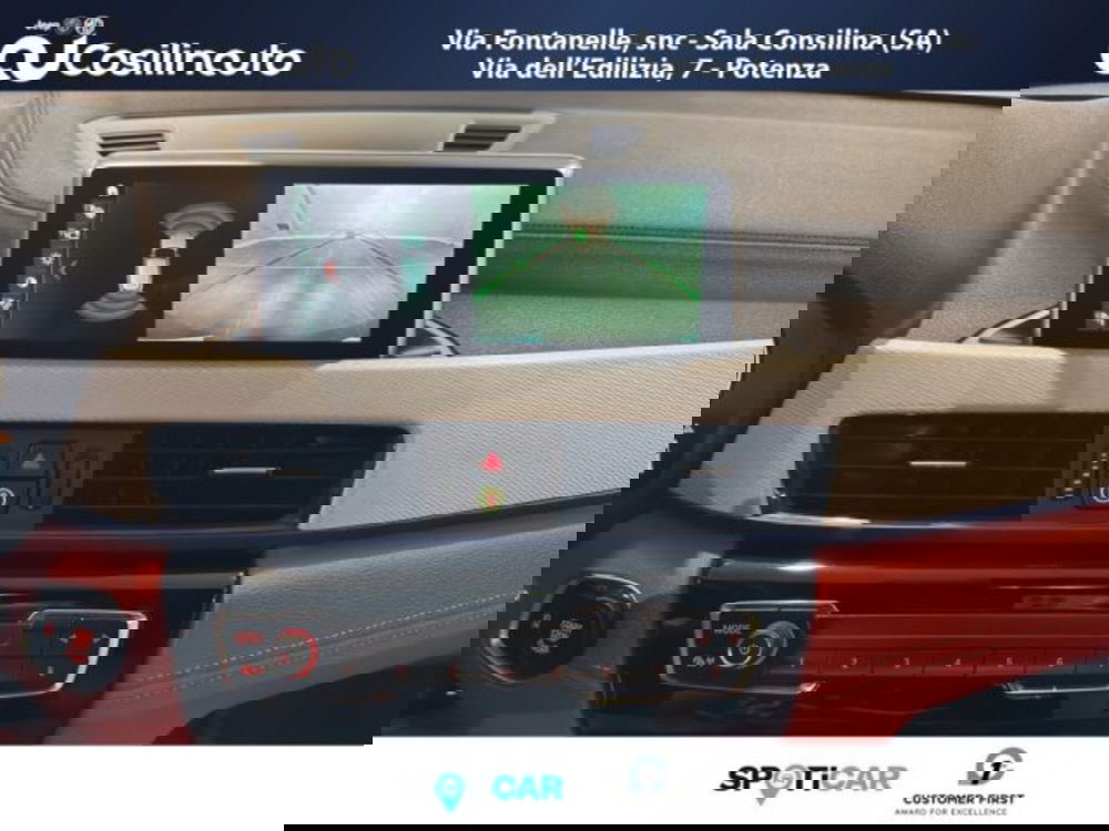 BMW X2 usata a Salerno (14)
