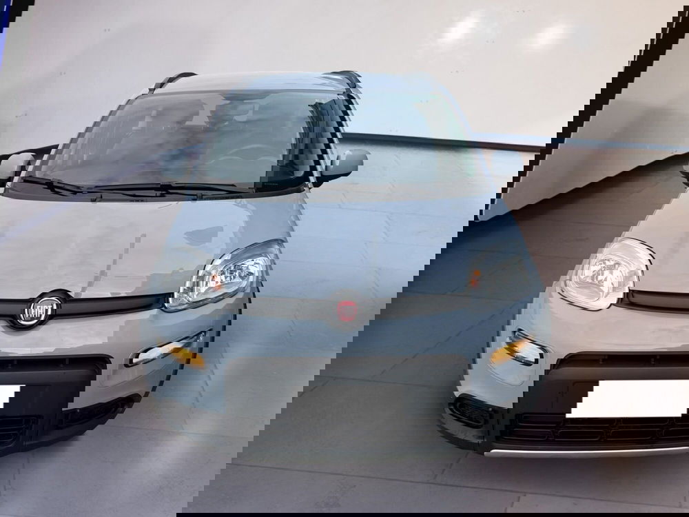 Fiat Panda usata a Torino