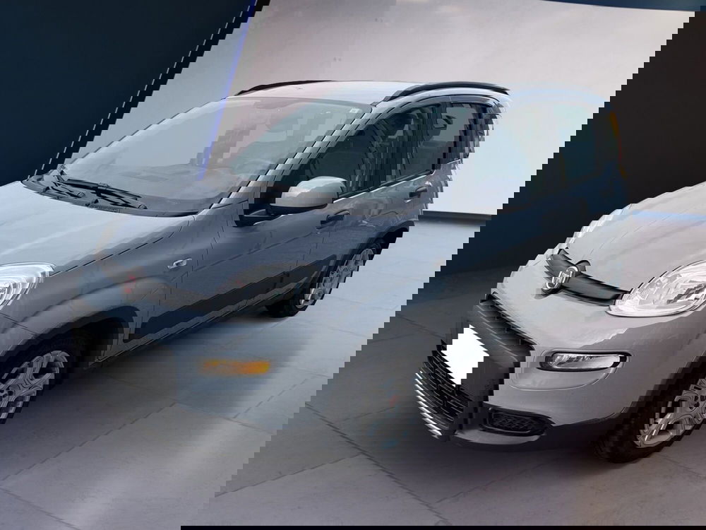 Fiat Panda usata a Torino (2)