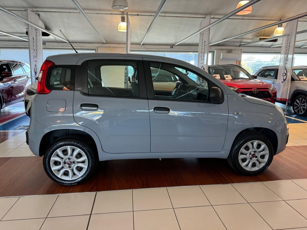 Fiat Panda usata a Modena (4)