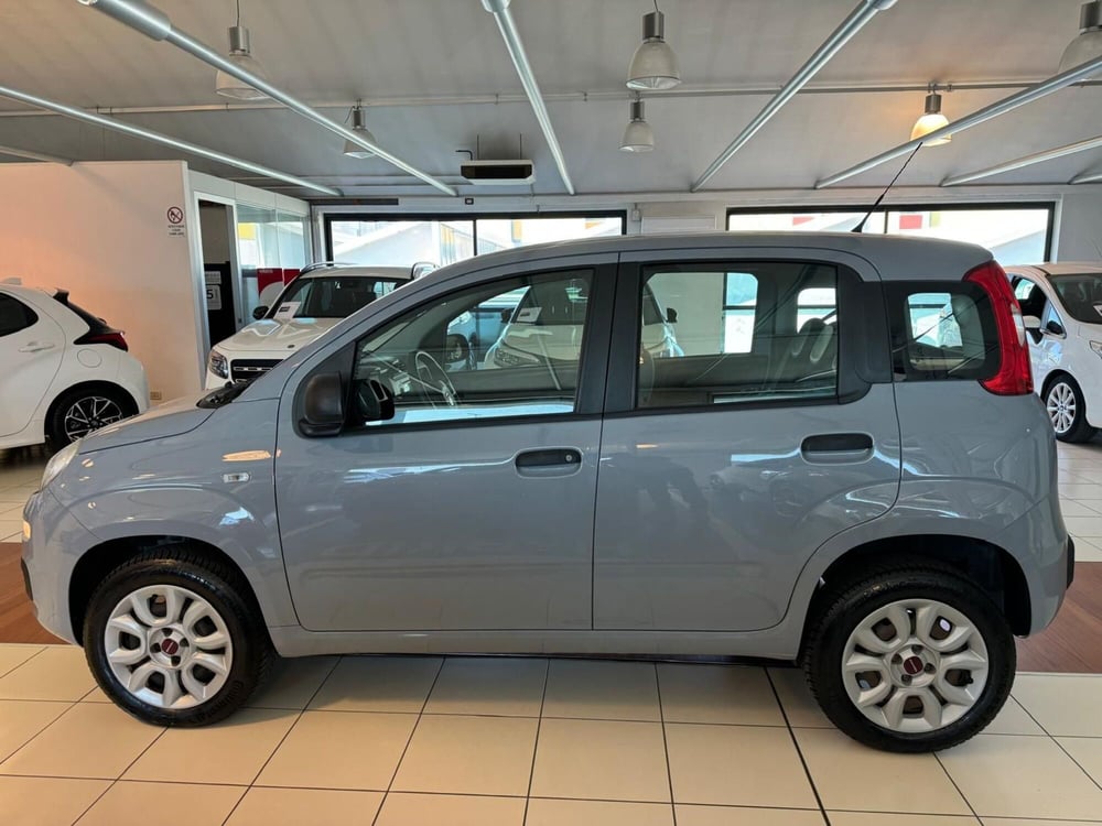 Fiat Panda usata a Modena (8)