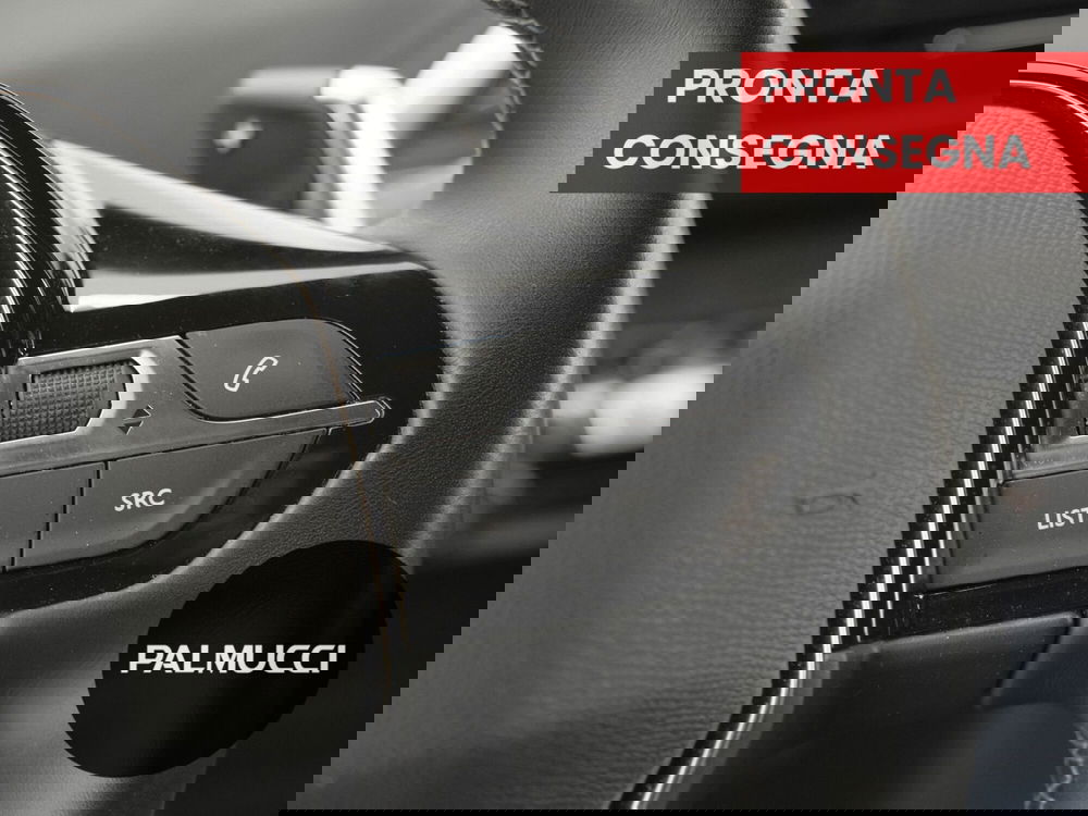 Peugeot 3008 usata a Prato (13)