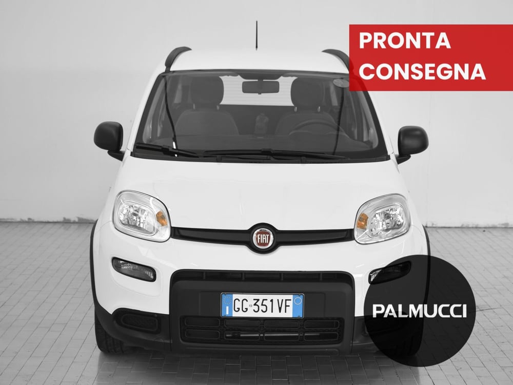 Fiat Panda usata a Prato (2)