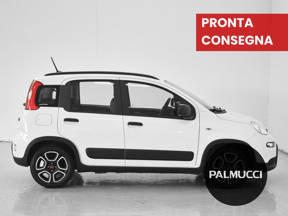 Fiat Panda usata a Prato (4)
