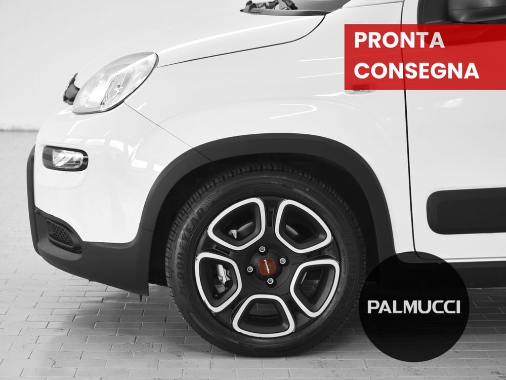 Fiat Panda usata a Prato (6)