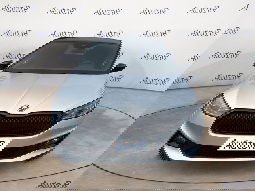 Skoda Fabia usata a Potenza (2)