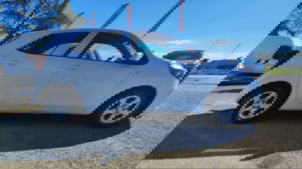 Kia Picanto usata a Firenze (10)