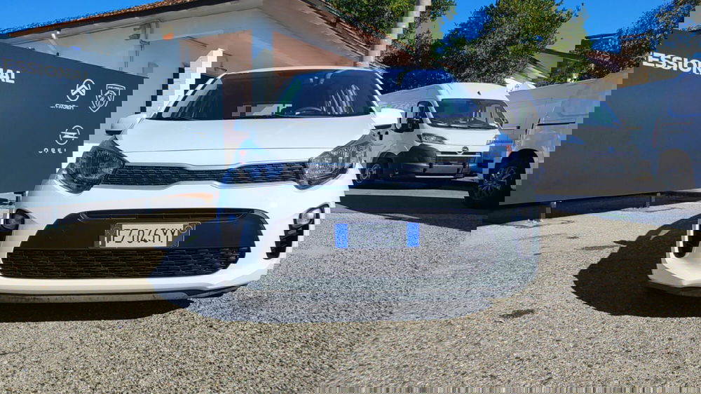 Kia Picanto usata a Firenze (14)