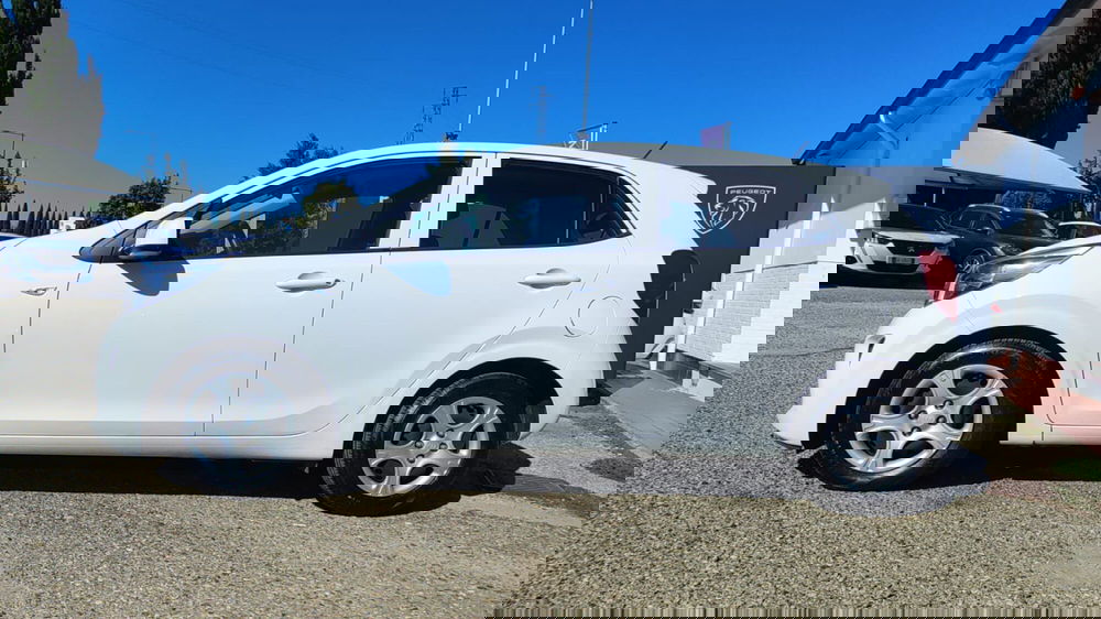 Kia Picanto usata a Firenze (3)