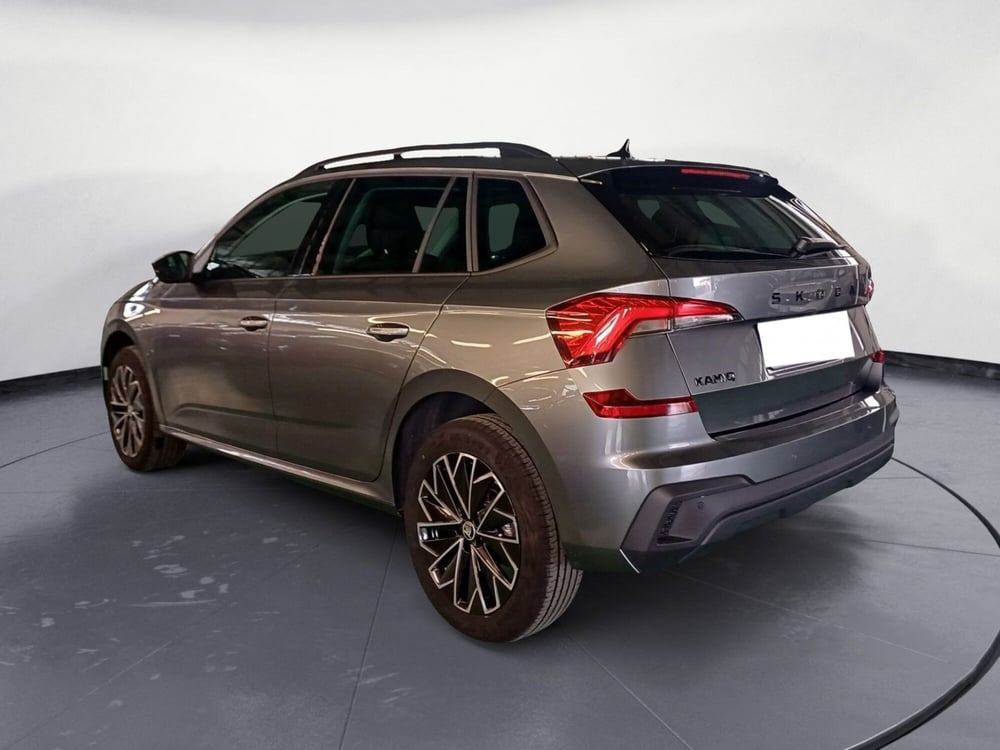 Skoda Kamiq usata a Reggio Calabria (4)