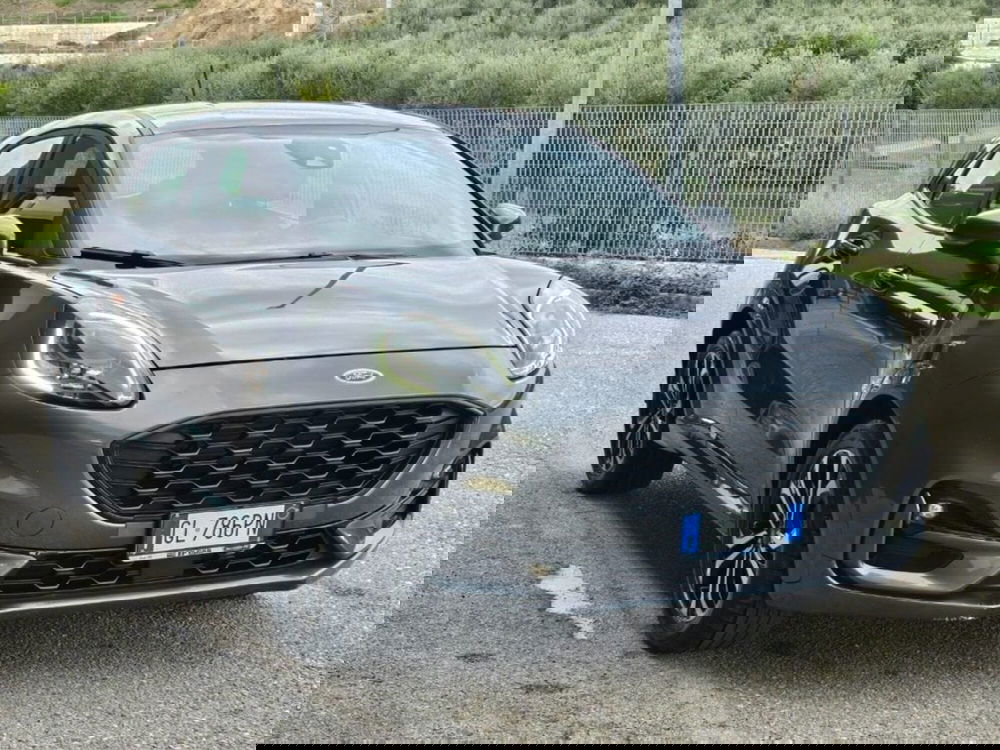 Ford Puma usata a Foggia (6)