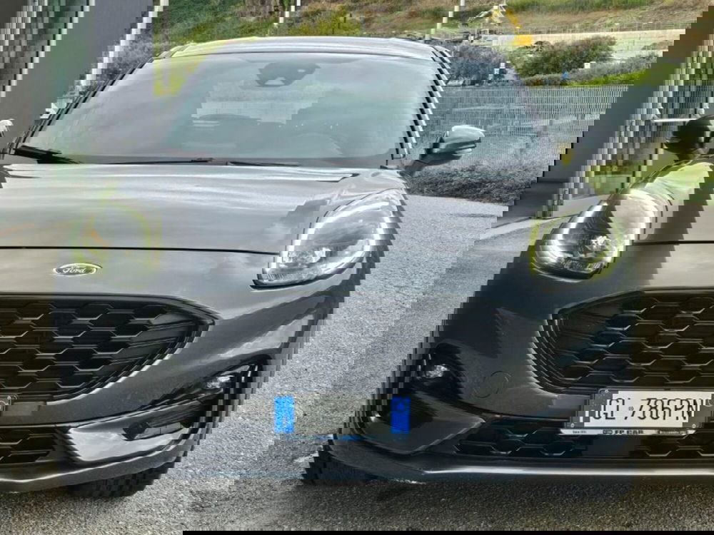 Ford Puma usata a Foggia (7)