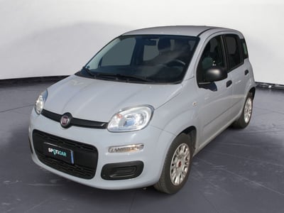 Fiat Panda 1.2 Easy del 2018 usata a Catania
