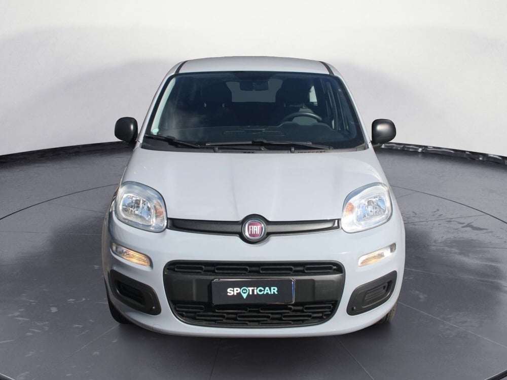 Fiat Panda usata a Catania (3)