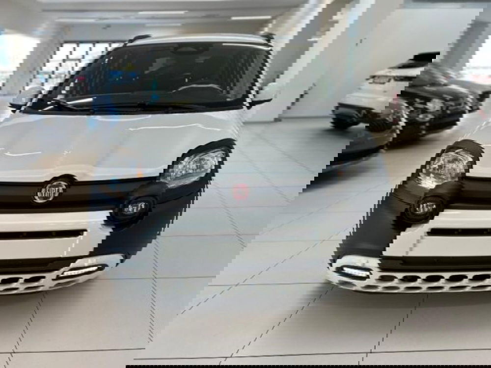 Fiat Panda nuova a Modena (14)