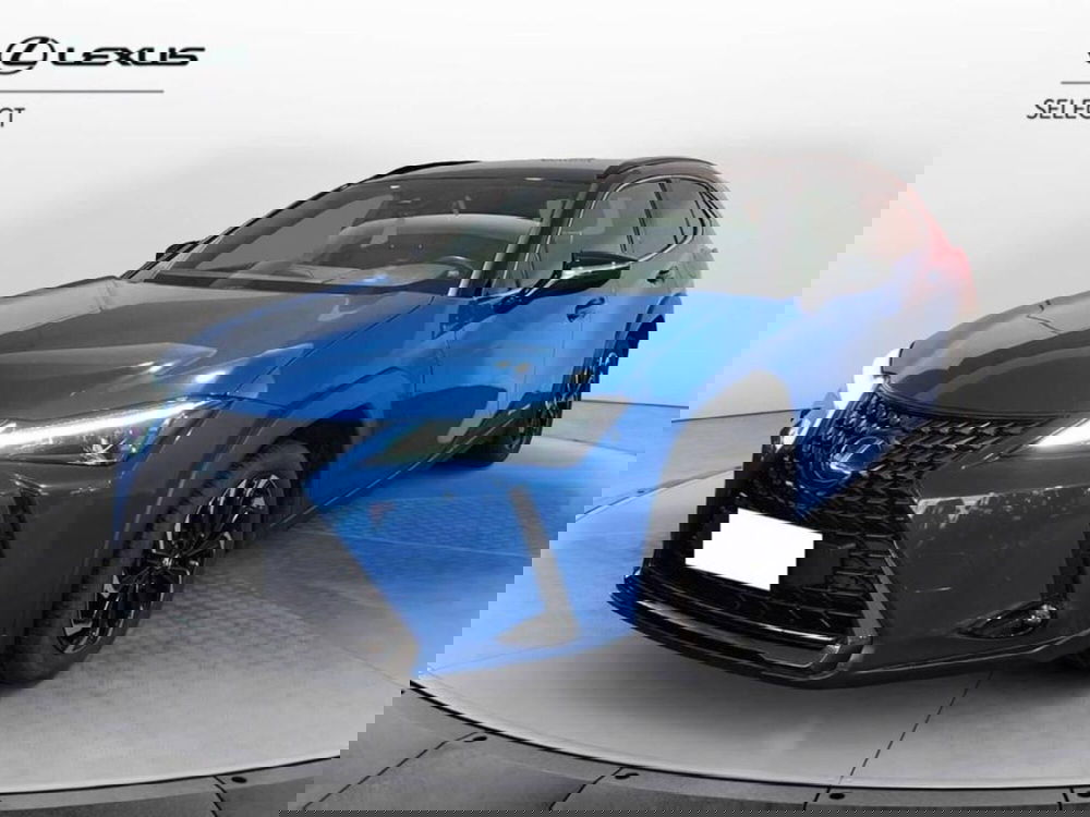 Lexus UX usata a Torino