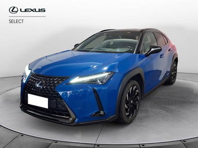Lexus UX Hybrid Midnight del 2021 usata a Torino