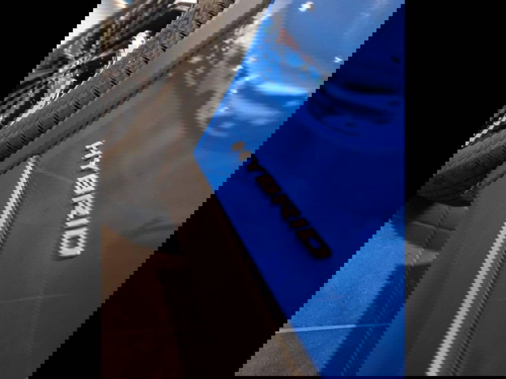 Lexus UX usata a Torino (13)